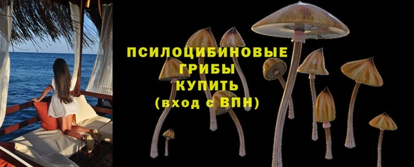 мет Бородино