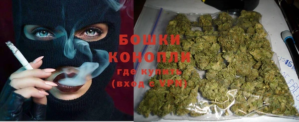 мет Бородино