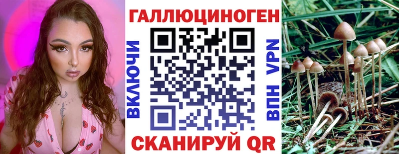 Псилоцибиновые грибы Psilocybine cubensis  Пенза 